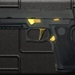 SIG LIFESTYLE CROSS ARMORY MAG RELEASE p (1)